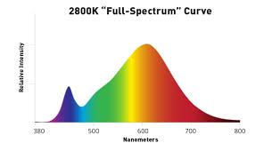 Check spelling or type a new query. Full Spectrum Led Grow Lights The Truth You Need To Know Lumigrow
