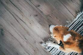 finding pet friendly floors for your