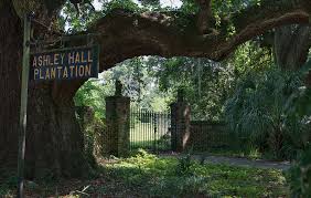 ashley hall plantation west ashley