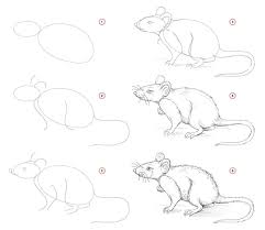 nature sketch of cute rat creation