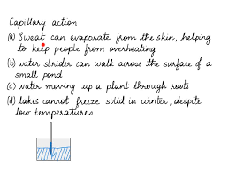 SOLVED: Name any two fluids which are used for transpiration in human body  . Write there functions