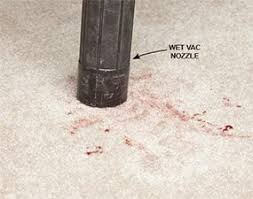 tomato sauce stains out of carpet