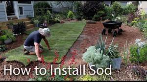Hgtv breaks down what happens when you lay fresh sod over an existing lawn without proper preparation. How To Lay Your Own Sod Diy