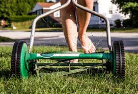 Reel Lawn Mowing Tips Planet Natural