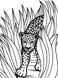 The jaguars compete in the national football league (nfl) as a member club of the american football conference (afc) south division. 33 Jaguar Coloring Pages Ideas Coloring Pages Jaguar Coloring Pictures