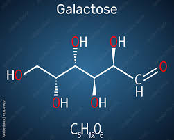galactose d galactose milk sugar