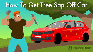 how to get tree sap off car without