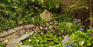 Tropical Landscaping Ideas