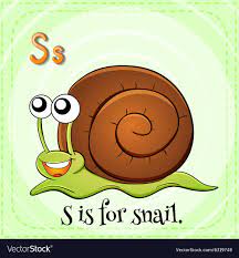 flashcard letter s is for snail royalty
