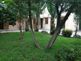 49+ raisons pour lshape house design ethiopia! L Shaped Attractive House Im22 2262 Addis Ababa Bole Ezega