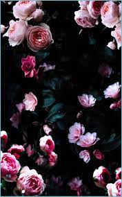 Dark Flower IPhone Wallpapers - Top ...