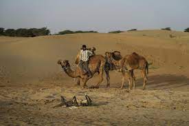 When bo and nocker are brought on camel to oasis el nooki, and are questioned by sheikh abdul abulbul, he suddenly is seen clutching his whip with both hands, where he had been holding his sword on his hip with his left hand. Man Lying Desert Sand Photos Free Royalty Free Stock Photos From Dreamstime