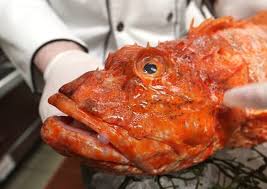 17 ugliest fish in the world pics