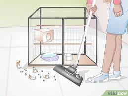 3 ways to clean a birdcage wikihow
