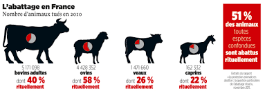 RÃ©sultat de recherche d'images pour "abattage halal"