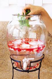 Best Fruit Infused Water Recipes