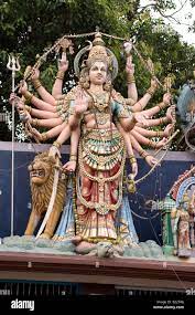 Hindu goddess arms