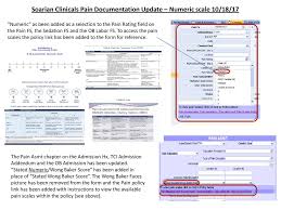 Soarian Clinicals Pain Documentation Update Numeric Scale
