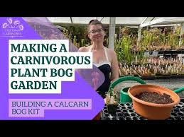 Making A Carnivorous Plant Bog Garden