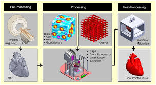 Frontiers 3d Bioprinting At The