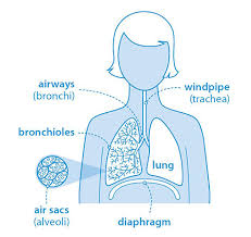 You can stop chest pain from anxiety by controlling and slowing your breathing. What Is Pneumonia British Lung Foundation