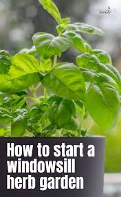 how to grow a windowsill herb garden