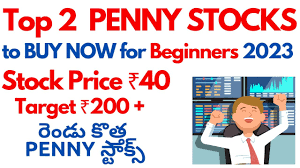 top 2 penny stocks to now for