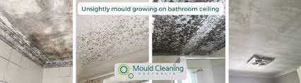 how to remove mould on bathroom ceiling