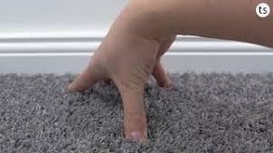 object carpet poodle 1400 objekt
