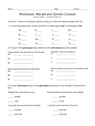 The recessive alleles of these two genes result in black body. Mendelian Genetics Worksheet Answers