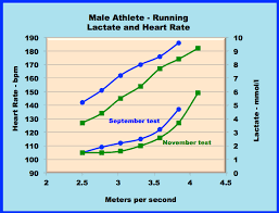 Lactate Science And Running