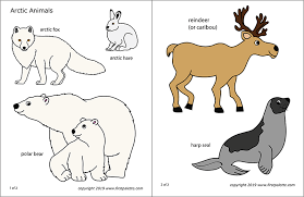 Free printable antarctic polar animals to color and use for crafts and animal learning activities. Arctic Polar Animals Free Printable Templates Coloring Pages Firstpalette Com