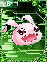 Koromon Wikimon The 1 Digimon Wiki