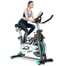 pooboo indoor cycling exercise bikes