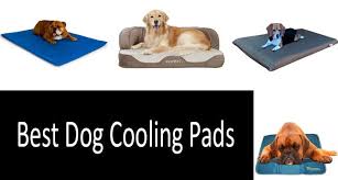 top 10 best dog cooling pads 2021