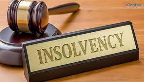 Insolvency and Bankruptcy Code (smart notes with procedure and judgments)