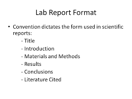 How to write a good biology lab report    Biology and ESS   IB     Marked by Teachers 