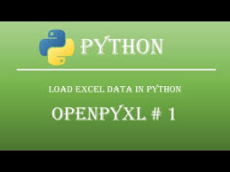 hands on python openpyxl project you