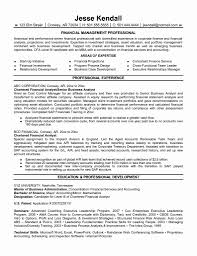 Financialalyst Resume Sample Examples Entry Level Career