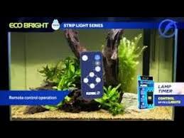 Fluval Eco Bright Aquarium Led 2nd Gen Euro Version Youtube