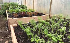 Raised Beds For Vegetable Gardening