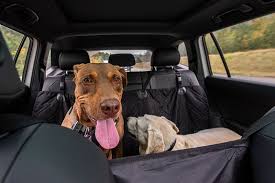 8 Best Dog Hammocks For Cars In 2023