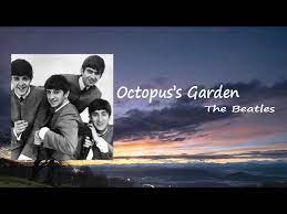 the beatles octopus s garden s