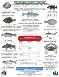 Lbi Fishing Regulations
