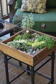 Awesome Fairy Garden In A Wooden Box