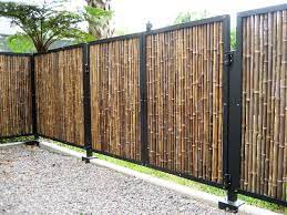 bamboo fences fencework