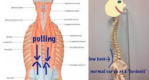 how to cure low back stiffness in the