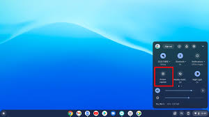 screen record on a chromebook dignited