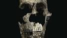 Homo naledi, a newly discovered species in the genus homo, has now been added to the human family tree. Menschenart Aus Sudafrika Homo Naledi Junger Als Gedacht Br Wissen