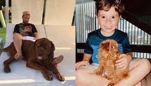 We did not find results for: Lionel Messi And Wife Welcome Latest Member Of Their Family A Rare Toy Poodle Named Abu